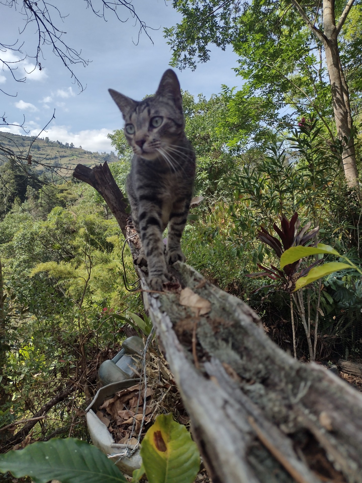 Img 20211231 101920278 hdr